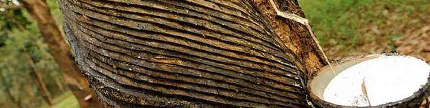 مواد اولیه لاستیک و ترکیبات آن